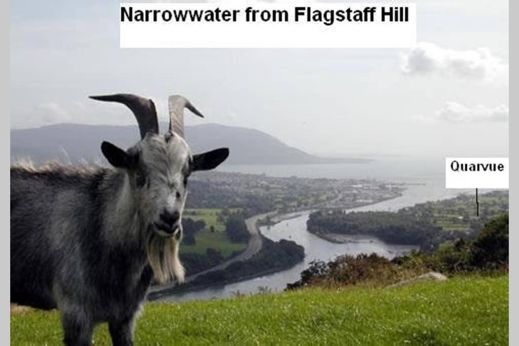 Quarvue Farmhouse, Unique House With Views Of Mournes And Cooleys O Meith エクステリア 写真
